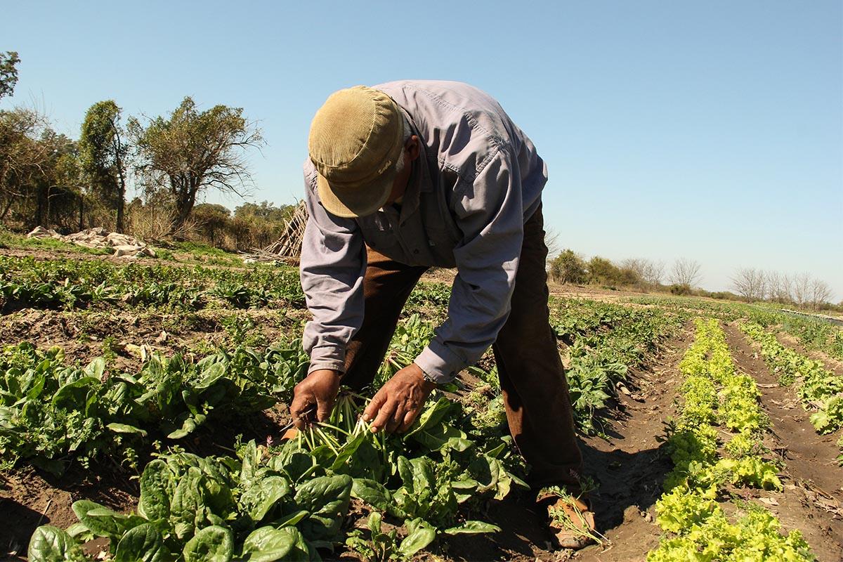 Primavera agroecológica: alimentos sanos y soberanía